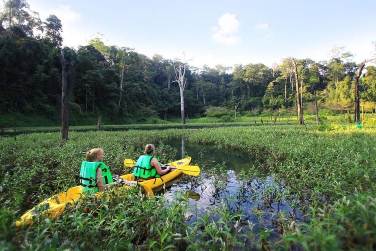 Rainforest Camp